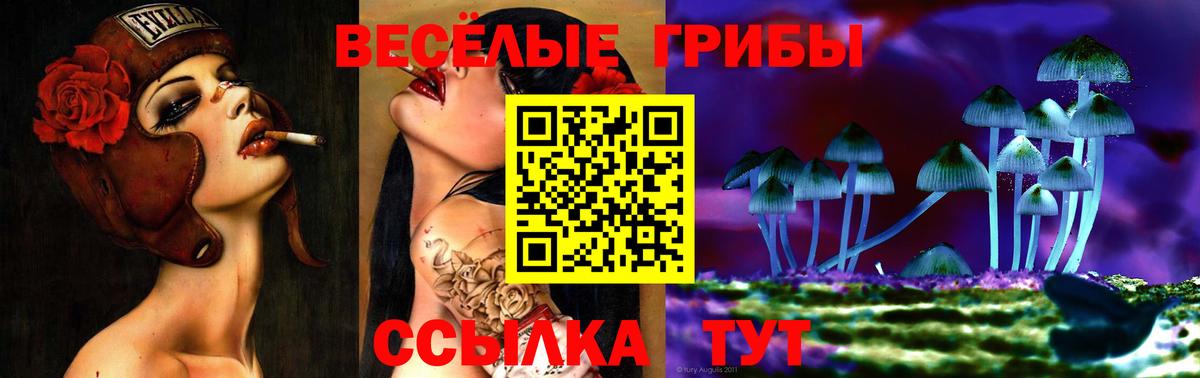 Псилоцибиновые грибы ЛСД  Галлюциногенные грибы Cubensis  Вход с VPN  Ялуторовск 